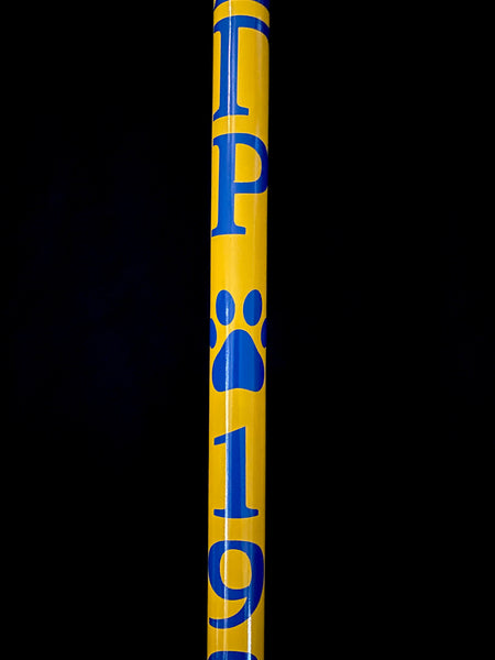 Yellow Sigma Gamma Rho 1922